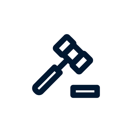 icon-2024-25